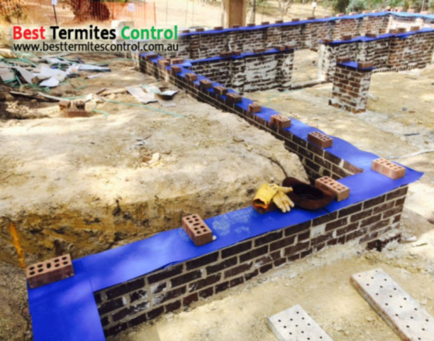 Termite protection service in Doncaster